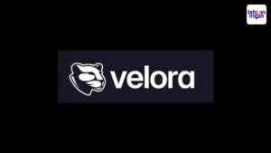 Velora breidt uit met VLR-token en Base ondersteuning