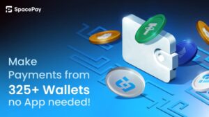 Waarom SpacePay het platform is voor eenvoudige betalingen met crypto