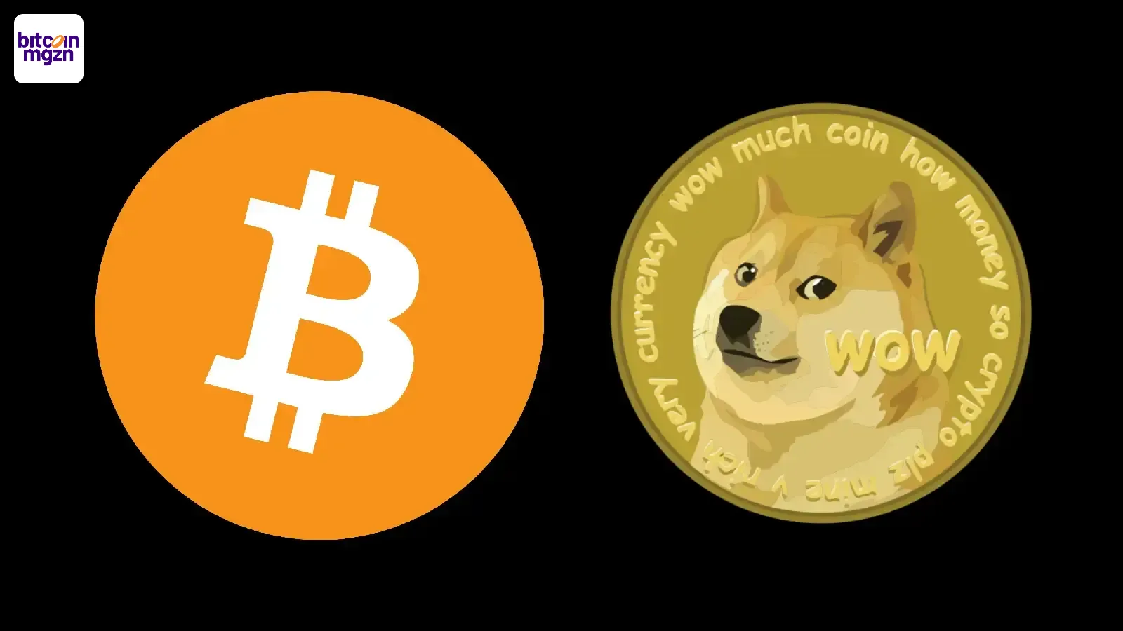 Bitcoin en Dogecoin zijn geen digitale euro Hier zitten de verschillen