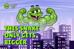 snaky way presale