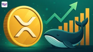 XRP-whales bereiken historisch hoogtepunt; koers stijgt met 29%