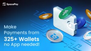 spacepay presale, betalen met crypto in winkels