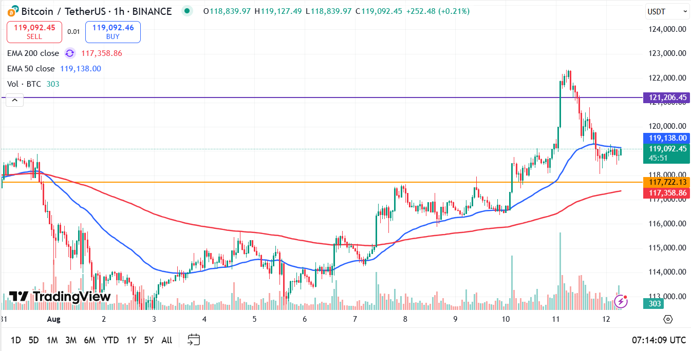 Bitcoin koers vandaag analyse 12-08