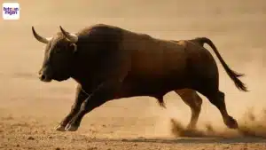 Krypto Bullrun erklärt So erkennen Sie den nächsten Boom