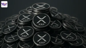 Ripple, whales of exchanges Wie bezit het meeste XRP in 2025