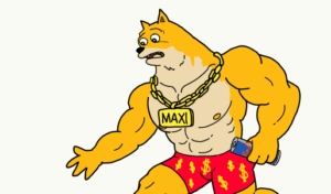 maxi doge koers verwachting