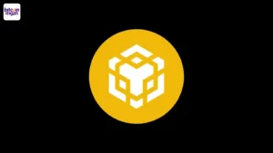 binance useless memecoin