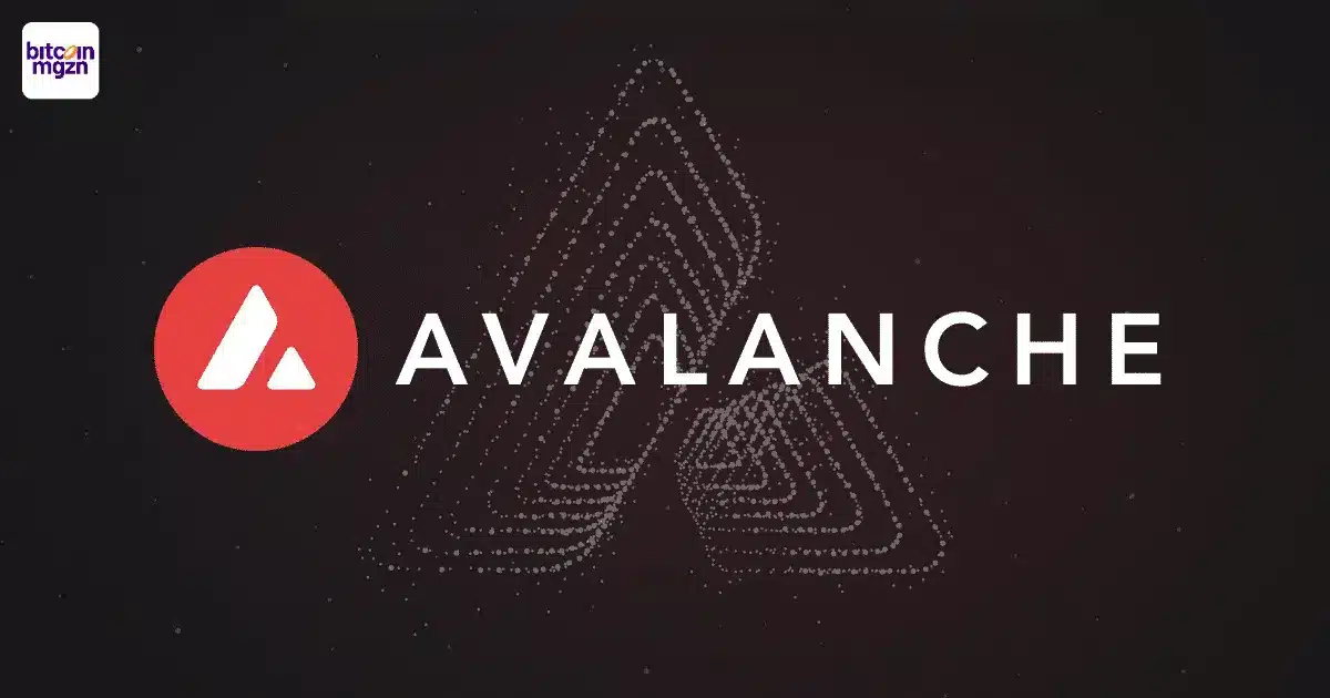 AVAX Avalanche koers prijs