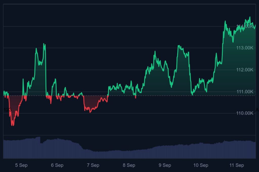 bitcoin koers, bitcoin nieuws, crypto bull run, populaire crypto, bekende crypto