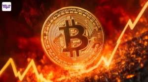CIMG koopt 500 BTC na $55 miljoen aandelenverkoop