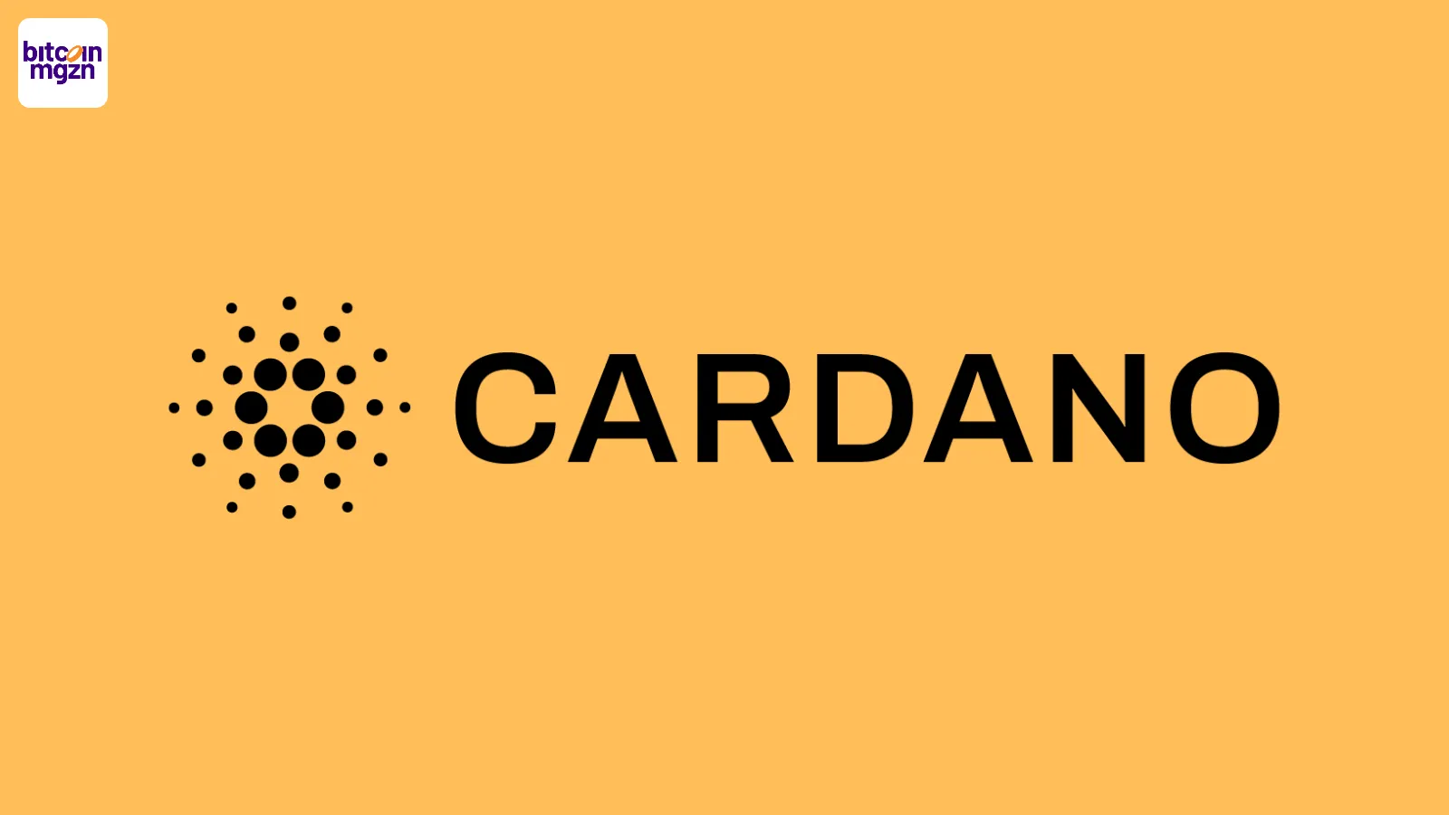Cardano koers houdt stand ondanks grote whale verkoop