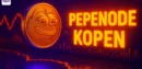 Pepenode kopen