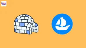 Pudgy Penguins x Opensea