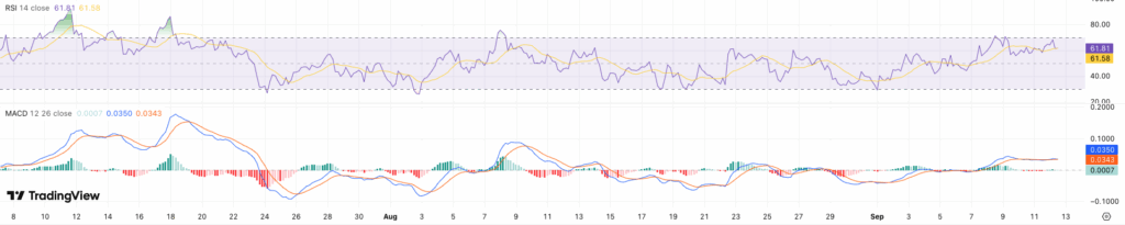 RSI + MACD XRP koers - bron: TradingView