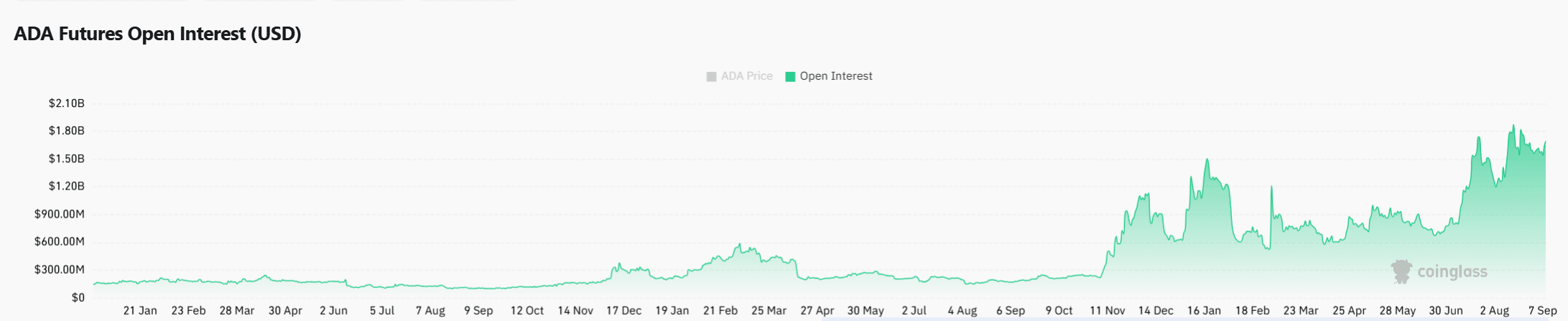 De Open Interest op ADA futures. Bron: CoinGlass