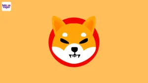 Shiba inu focus op azie