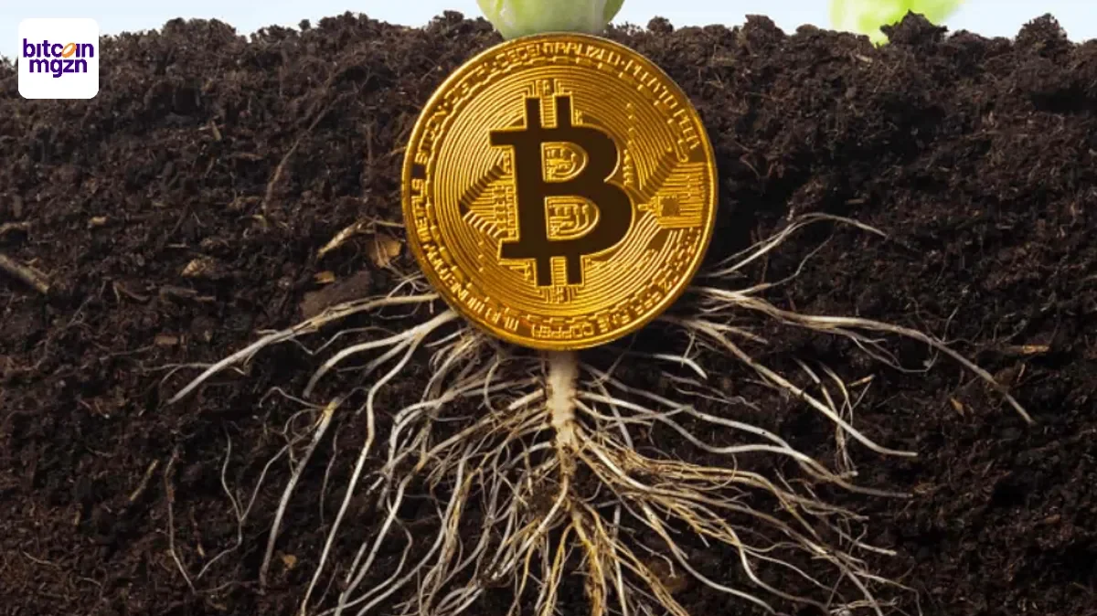 Taproot-dev ‘trolling value’ was niet voorzien