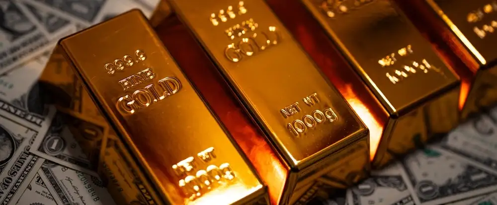 Wat is Holland Gold en wat biedt het