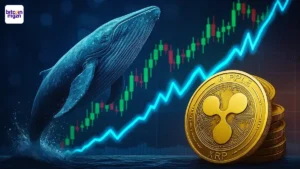 Een blauwe walvis naast stapels gouden XRP-munten en een stijgende koersgrafiek, symbool voor een grote XRP whale transactie.
