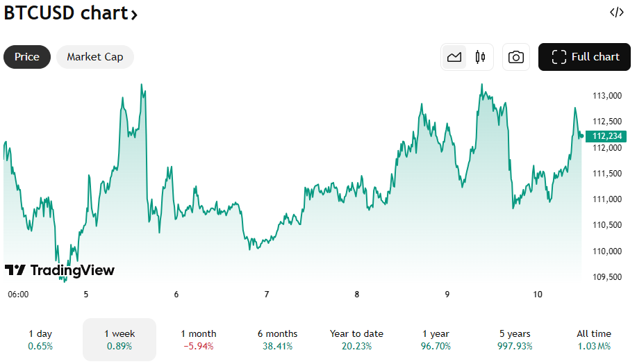 De Bitcoin koers van de afgelopen week. Bron: TradingView