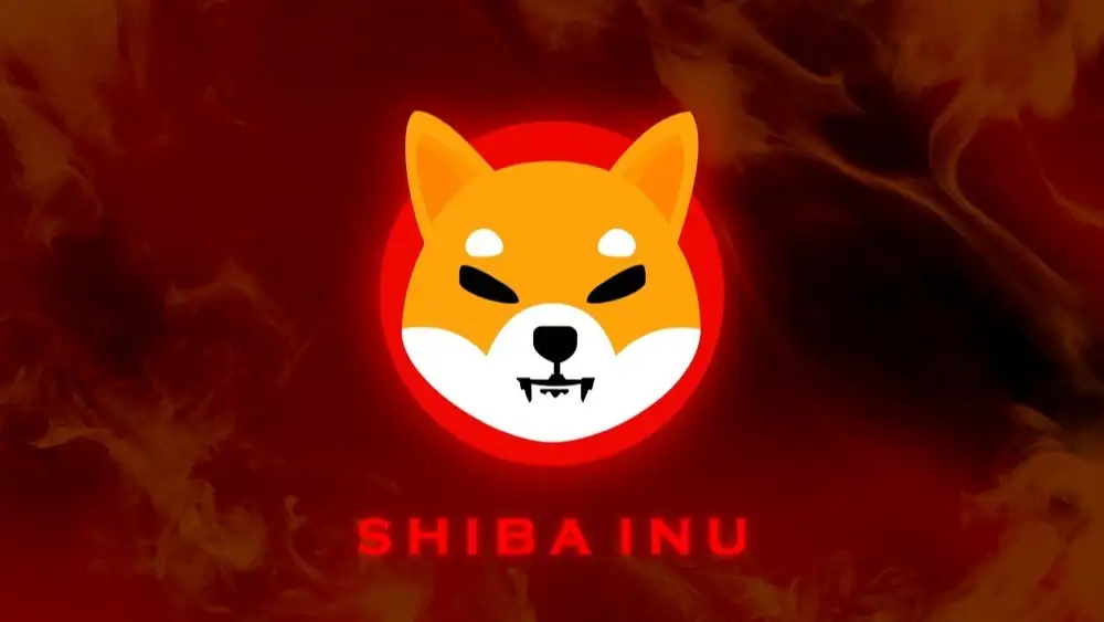 shiba inu coin kopen