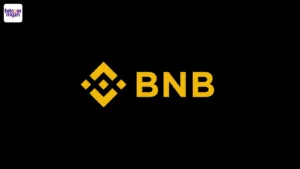 bnb all time high