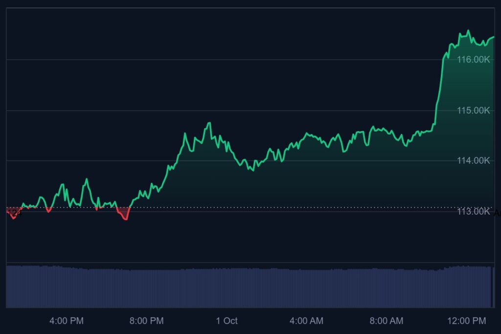toekomst crypto, crypto adoptie, crypto investeren
