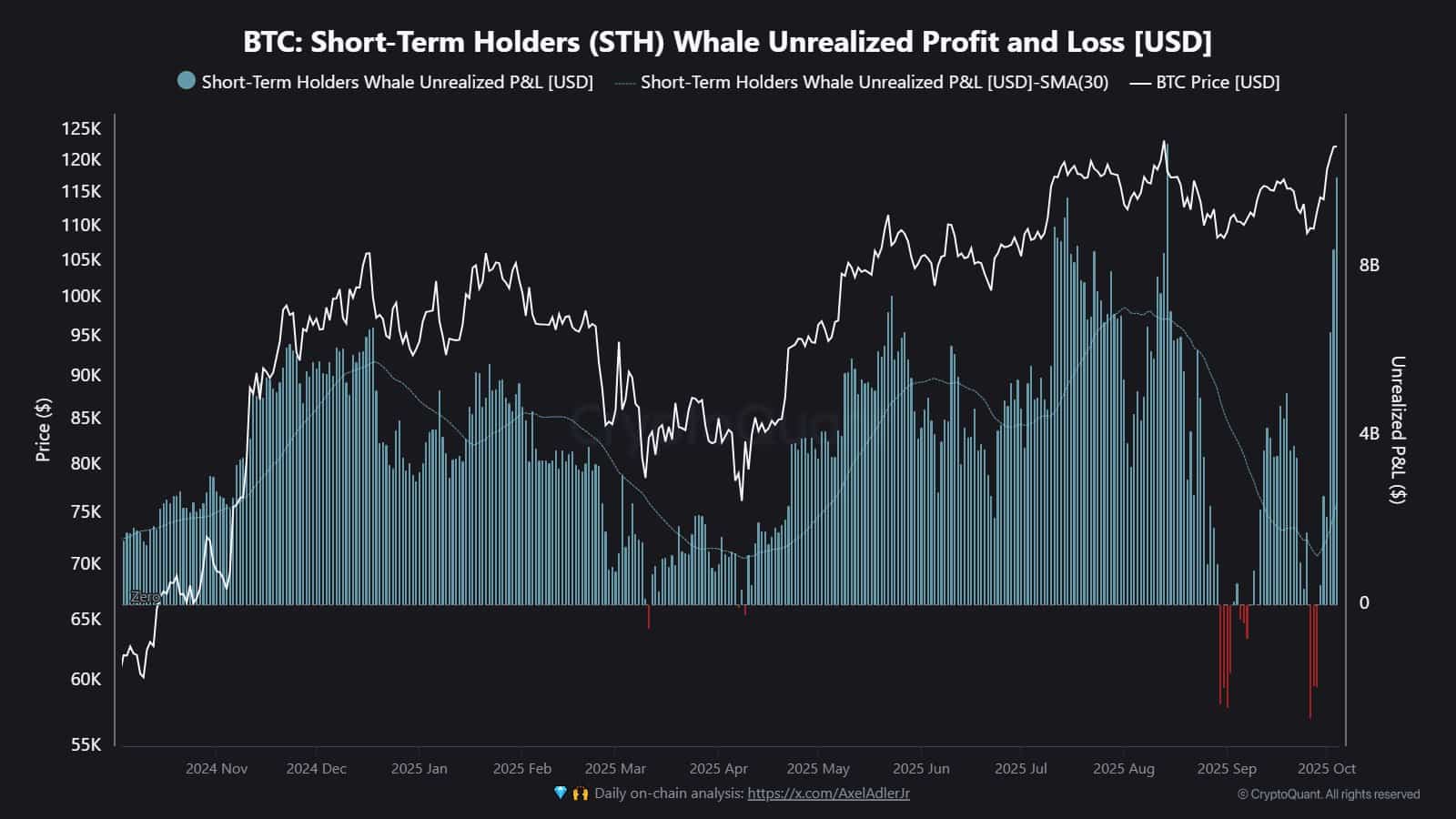 Whale Unrealized Profit Profit and Loss (USD) van BTC. Bron: CryptoQuant
