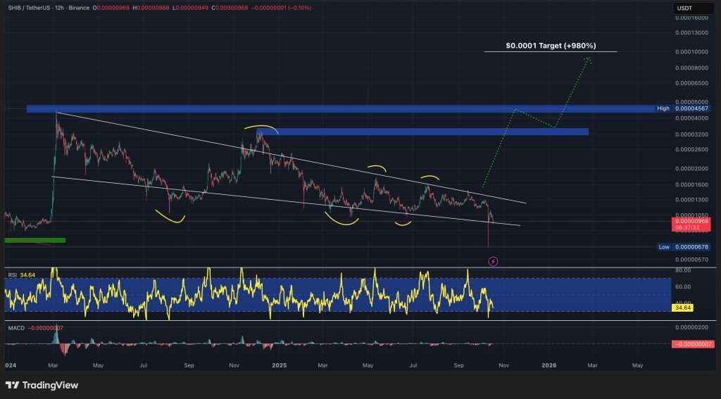 SHIB/USDT 12h Price Chart Source: TradingView