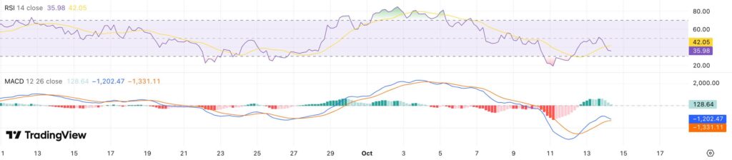 RSI + MACD Bitcoin koers - bron: TradingView