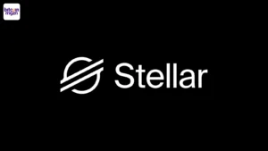 Stellar Rapport RWA Messari
