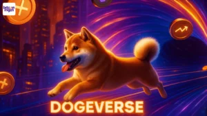 Wat is Dogeverse