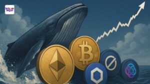 Crypto whales kopen en verkopen in Uptober - transacties verklappen geheim