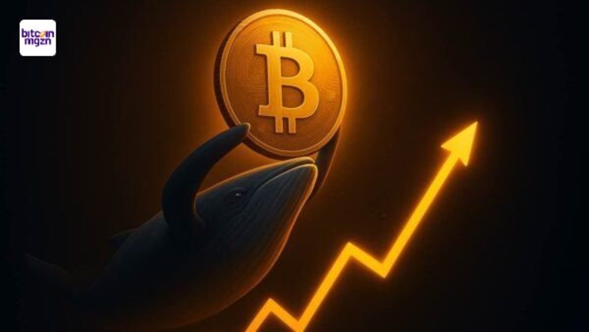Bitcoin whales houden BTC vast bij ATH – on-chain data onthult $180K verwachting