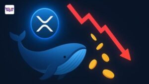 XRP koers zakt onder $2,60 na $63 miljoen whale dump – wat gaat Ripple doen?