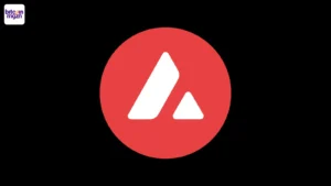 Avalanche Treasury