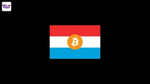 Luxemburg staatsfond investeer 1% in Bitcoin ETFs