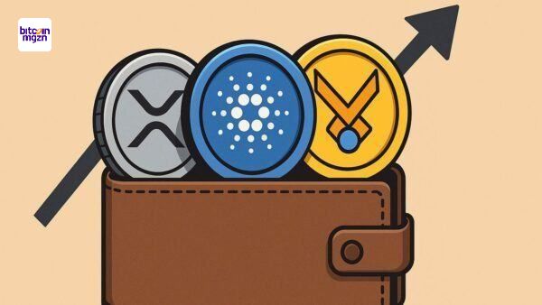 Beste portfolio constructie voor Q4 crypto bull run: XRP, Cardano en presale HYPER