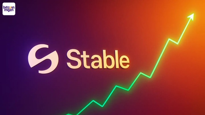 Cryptomarkt verrast door stijgende STABLE token