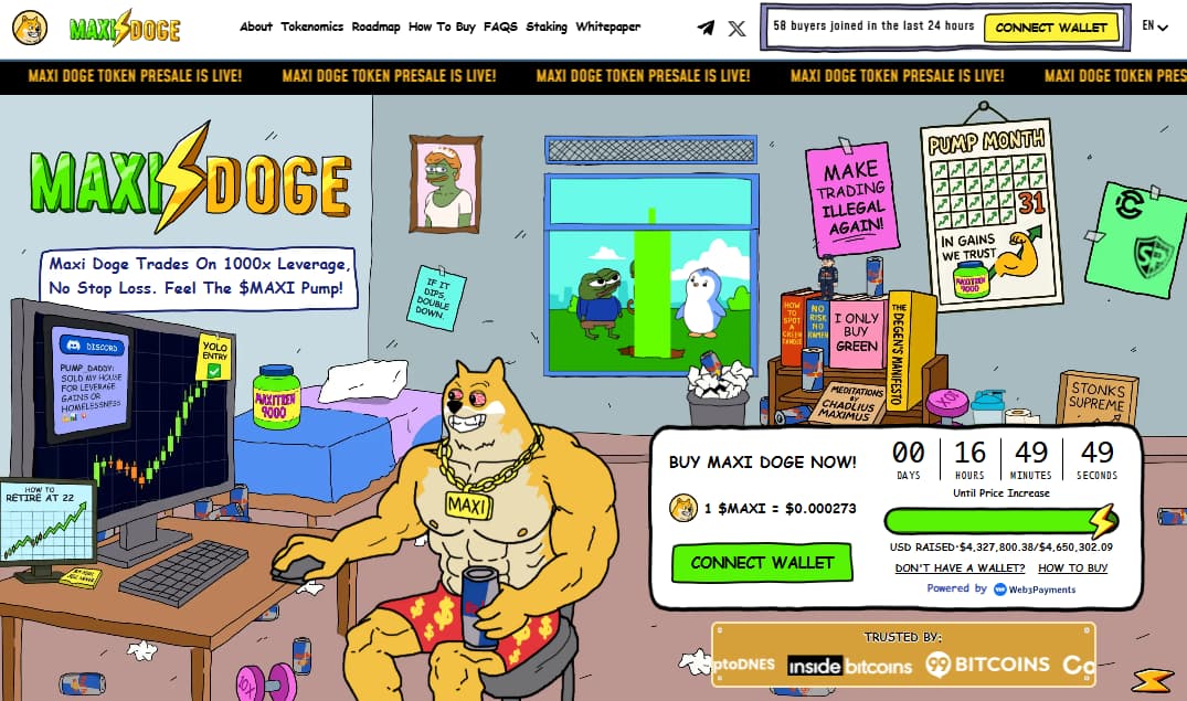 Maxi Doge presale 