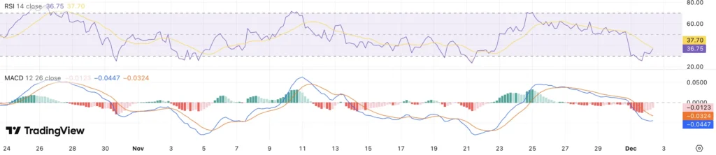 RSI + MACD XRP koers - bron: TradingView