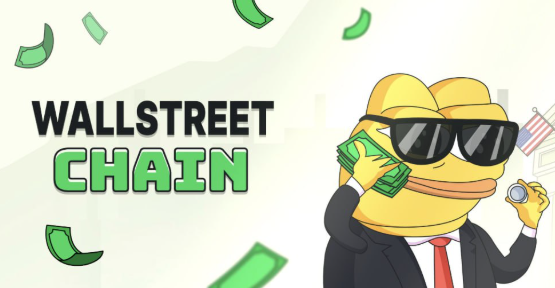 Wall Street Chain inside the $WSC