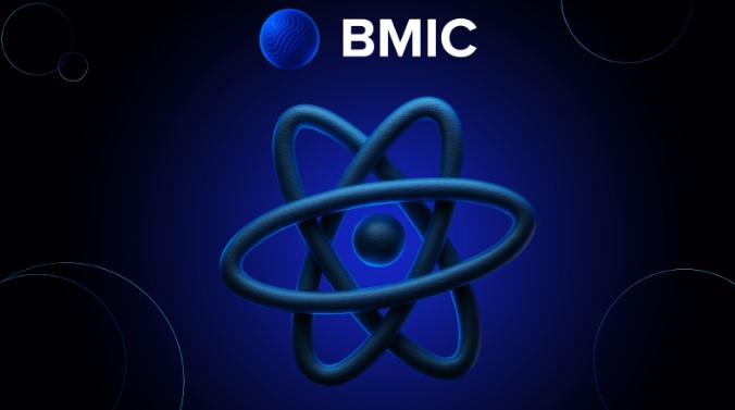 BMIC systeem