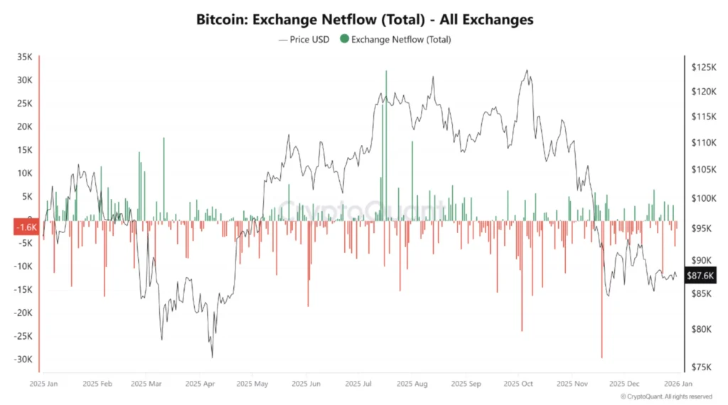 Bitcoin Exchange Netflow - bron: CryptoQuant