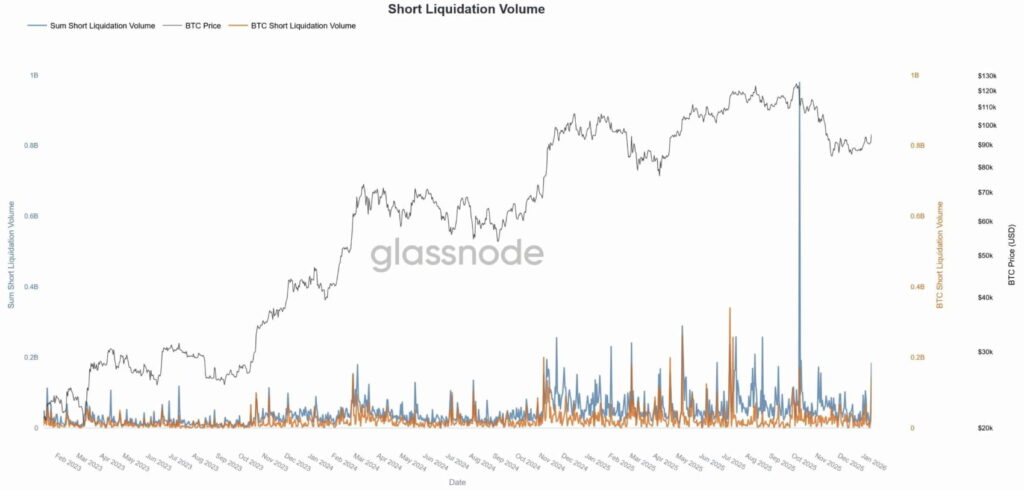 Bitcoin short liquidation volume - Bron Glassnode