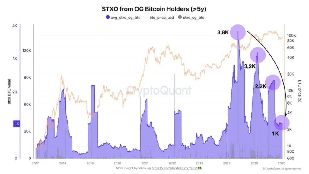 CryptoQuant whales Bitcoin