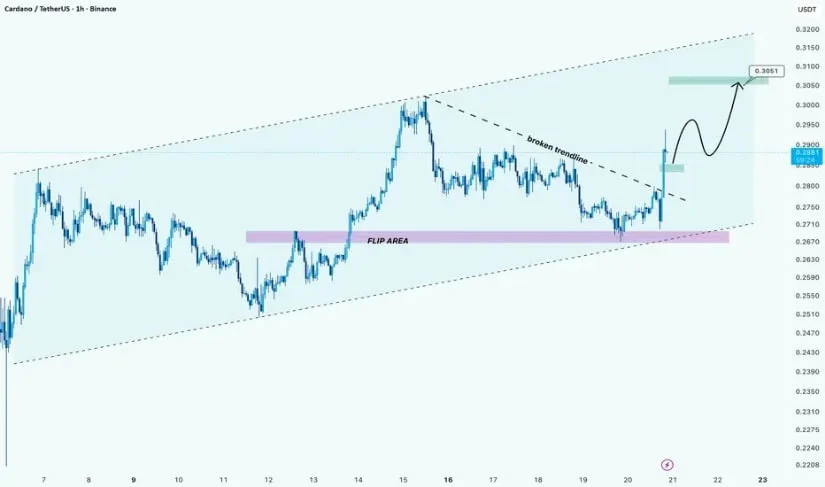 Bron: TradingView