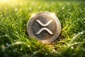 XRP cryptomunt in het gras