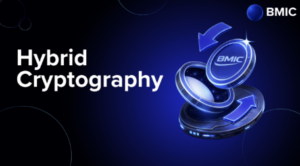 BMIC cryptography