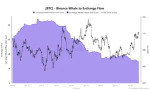 Binance whale to exchange BTC flow